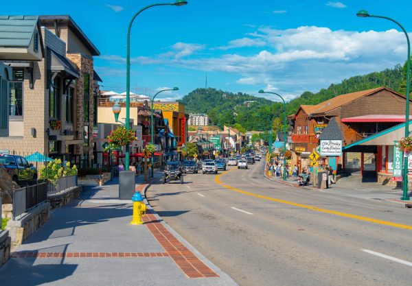 pexels-denil-33448751