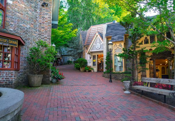 pexels-denil-33475257